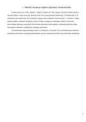 Profesinės rizikos vertinimas: tinkuotojas UAB "Statetas" 3 puslapis