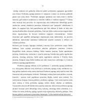 Profesinių sąjungų pripažinimas ir darbuotojų atstovavimas globalizacijos sąlygomis 13 puslapis