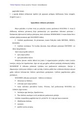 Reklamos analizė: prekybos centras "Maxima" 15 puslapis