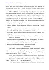 Reklamos analizė: prekybos centras "Maxima" 17 puslapis