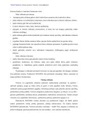 Reklamos analizė: prekybos centras "Maxima" 18 puslapis