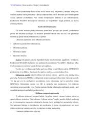 Reklamos analizė: prekybos centras "Maxima" 19 puslapis