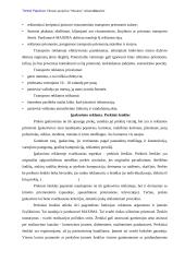 Reklamos analizė: prekybos centras "Maxima" 20 puslapis