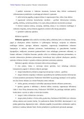 Reklamos analizė: prekybos centras "Maxima" 7 puslapis