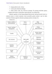 Reklamos analizė: prekybos centras "Maxima" 8 puslapis