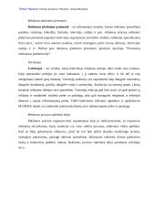 Reklamos analizė: prekybos centras "Maxima" 9 puslapis