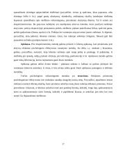 Reklamos įtaka vartotojo sprendimams: "Maxima" 17 puslapis