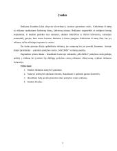 Reklamos įtaka vartotojo sprendimams: "Maxima" 3 puslapis