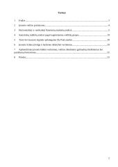 Veiklos analizė: AB "Vilkyškių pieninė" 2 puslapis