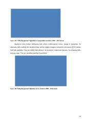 Veiklos analizė: AB "Vilkyškių pieninė" 14 puslapis