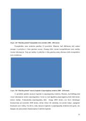 Veiklos analizė: AB "Vilkyškių pieninė" 15 puslapis