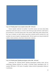 Veiklos analizė: AB "Vilkyškių pieninė" 16 puslapis