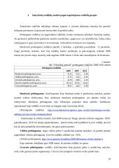 Veiklos analizė: AB "Vilkyškių pieninė" 19 puslapis