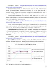 Veiklos analizė: AB "Vilkyškių pieninė" 20 puslapis