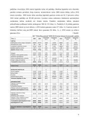 Veiklos analizė: AB "Vilkyškių pieninė" 6 puslapis