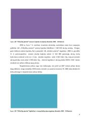 Veiklos analizė: AB "Vilkyškių pieninė" 9 puslapis