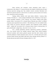 Rekreacijos ir turizmo raida 16 puslapis