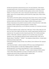 Rekreacijos ir turizmo raida 5 puslapis