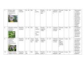 Vienmečių gėlių sortimentas 5 puslapis