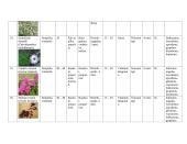 Vienmečių gėlių sortimentas 7 puslapis