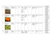 Vienmečių gėlių sortimentas 8 puslapis