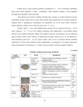 Želdynų inžinerinės sistemos 13 puslapis