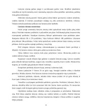 Želdynų inžinerinės sistemos 5 puslapis