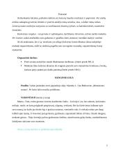 Renginio scenarijus: Motinos diena 5 puslapis