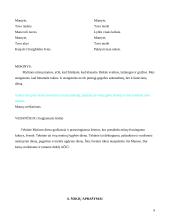 Renginio scenarijus: Motinos diena 9 puslapis