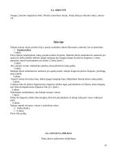 Renginio scenarijus: Motinos diena 10 puslapis