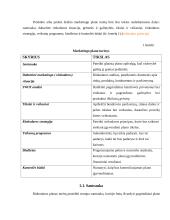 Rinkodaros planavimas 3 puslapis