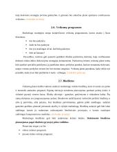 Rinkodaros planavimas 6 puslapis