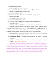 Rinkodaros planavimas 7 puslapis