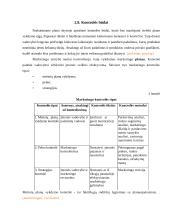 Rinkodaros planavimas 8 puslapis