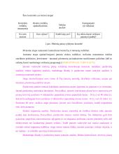 Rinkodaros planavimas 9 puslapis