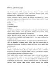 Želdynų klasifikacija 2 puslapis