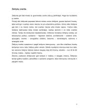 Želdynų klasifikacija 6 puslapis