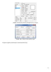 Pramoninio roboto projektavimas 11 puslapis