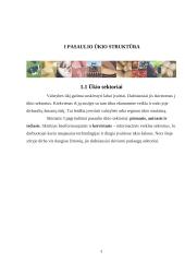 Žemės ūkio sektoriai, jų padėtis ir rėmimas 3 puslapis