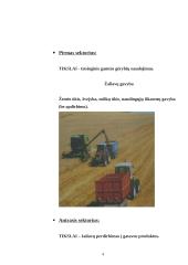 Žemės ūkio sektoriai, jų padėtis ir rėmimas 4 puslapis