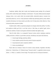 Santykiniai rodikliai ir jų pasirinkimo principai 2 puslapis