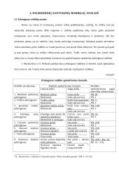 Santykiniai rodikliai ir jų pasirinkimo principai 11 puslapis