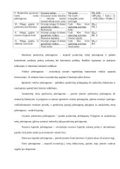 Santykiniai rodikliai ir jų pasirinkimo principai 12 puslapis