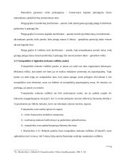 Santykiniai rodikliai ir jų pasirinkimo principai 13 puslapis