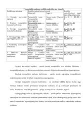 Santykiniai rodikliai ir jų pasirinkimo principai 14 puslapis