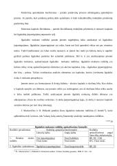 Santykiniai rodikliai ir jų pasirinkimo principai 15 puslapis