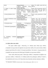 Santykiniai rodikliai ir jų pasirinkimo principai 18 puslapis