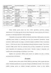 Santykiniai rodikliai ir jų pasirinkimo principai 20 puslapis