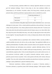 Santykiniai rodikliai ir jų pasirinkimo principai 4 puslapis