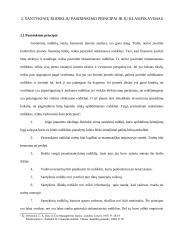 Santykiniai rodikliai ir jų pasirinkimo principai 6 puslapis